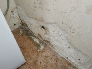 Remontées telluriques